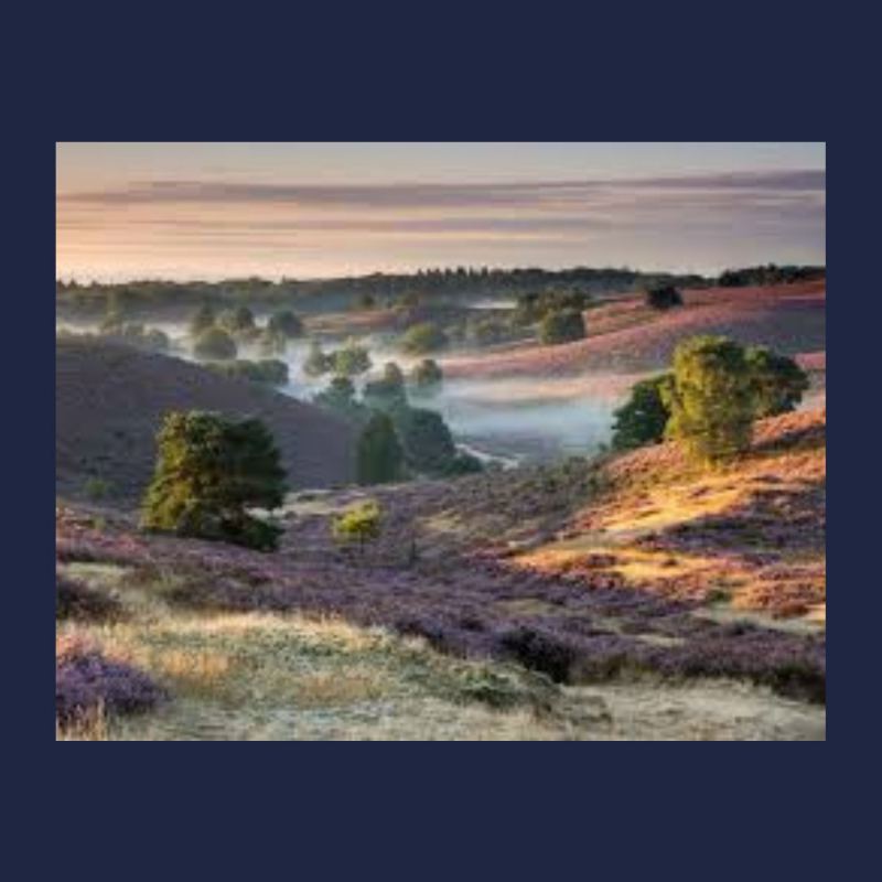 Wandelen en koffie op de Posbank