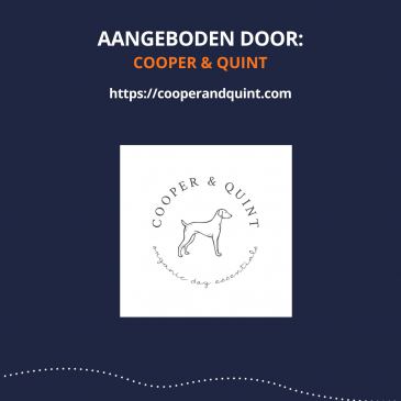 Verstelbare hondenriem - roestig rood